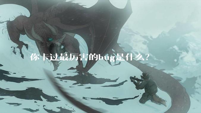 你卡过最厉害的bug是什么？