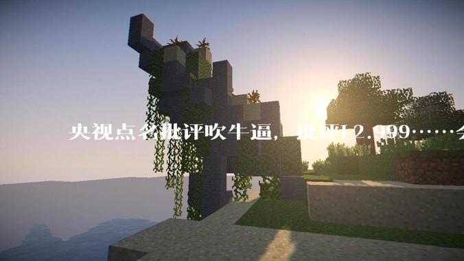 央视点名批评吹牛逼，批评L2.999……会被某法务部起诉吗？