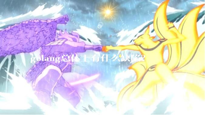 golang总体上有什么缺陷？